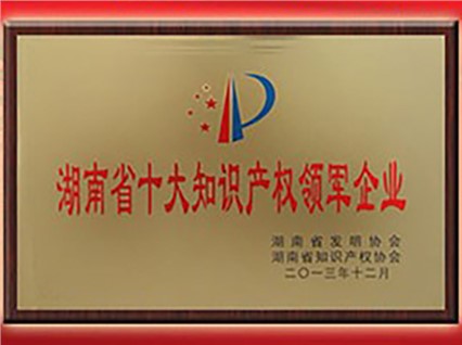 熱烈慶?！跋嫣逗阈馈北辉u(píng)為“首屆湖南省十大知識(shí)產(chǎn)權(quán)領(lǐng)軍企業(yè)”